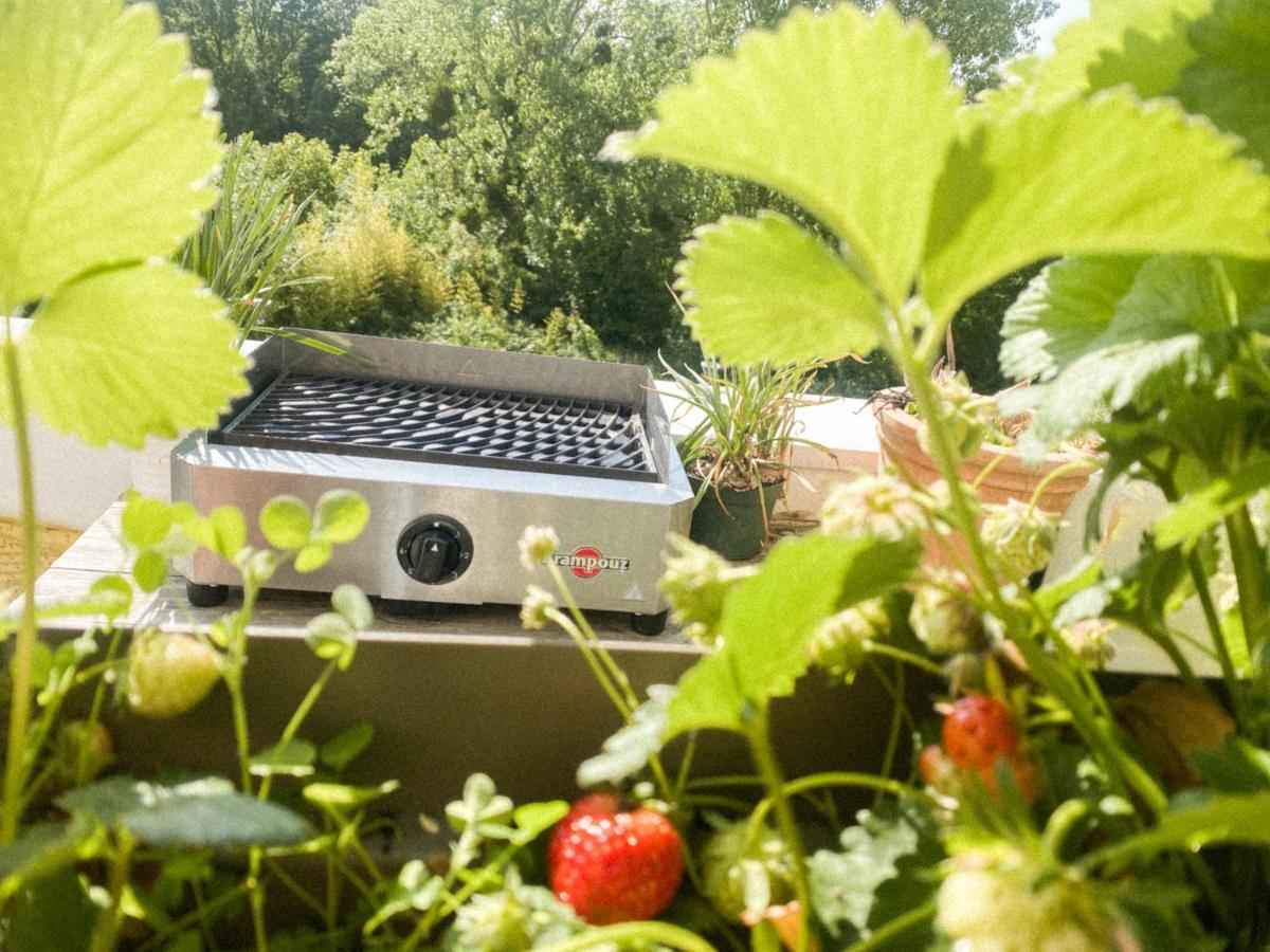 L'Olympique: Appartement Cosy, Vue Canal Grande Terrasse Et Parking Vaires-sur-Marne 外观 照片